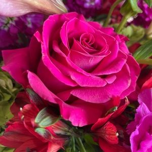 Meet your Posher, Andrea